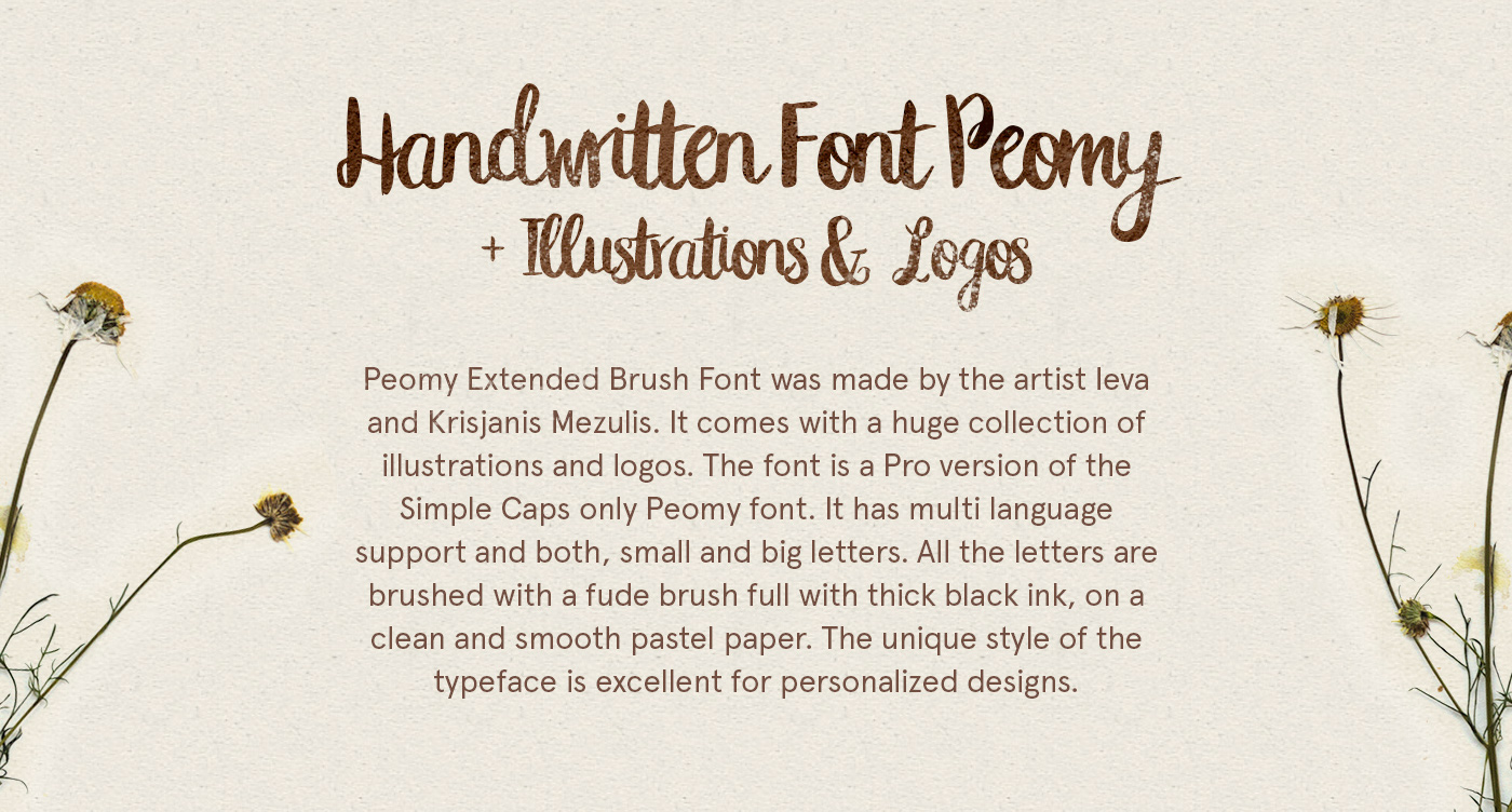 Peomy Extended Brush Font + Logos + Illustrations